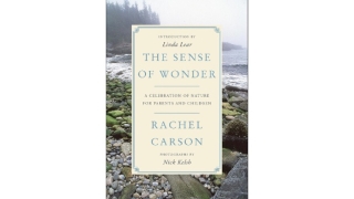 Thumbnail of post image 180